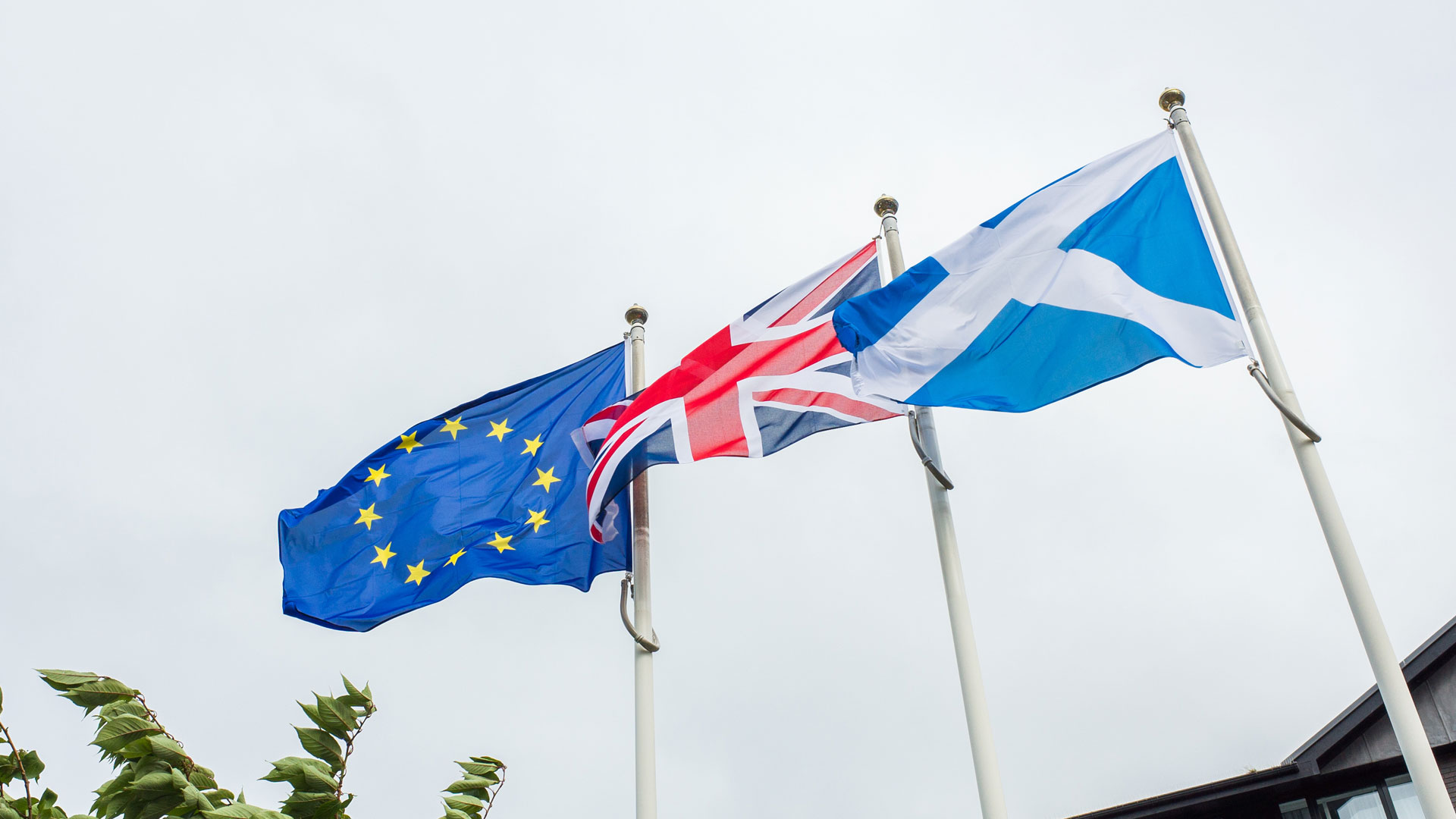 Union Jack, Scottish flag, EU flag