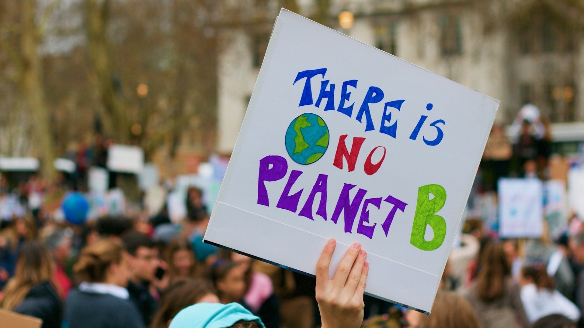 In a crowd of people outdoors, a hand holds up a placard that reads "There is no planet B"