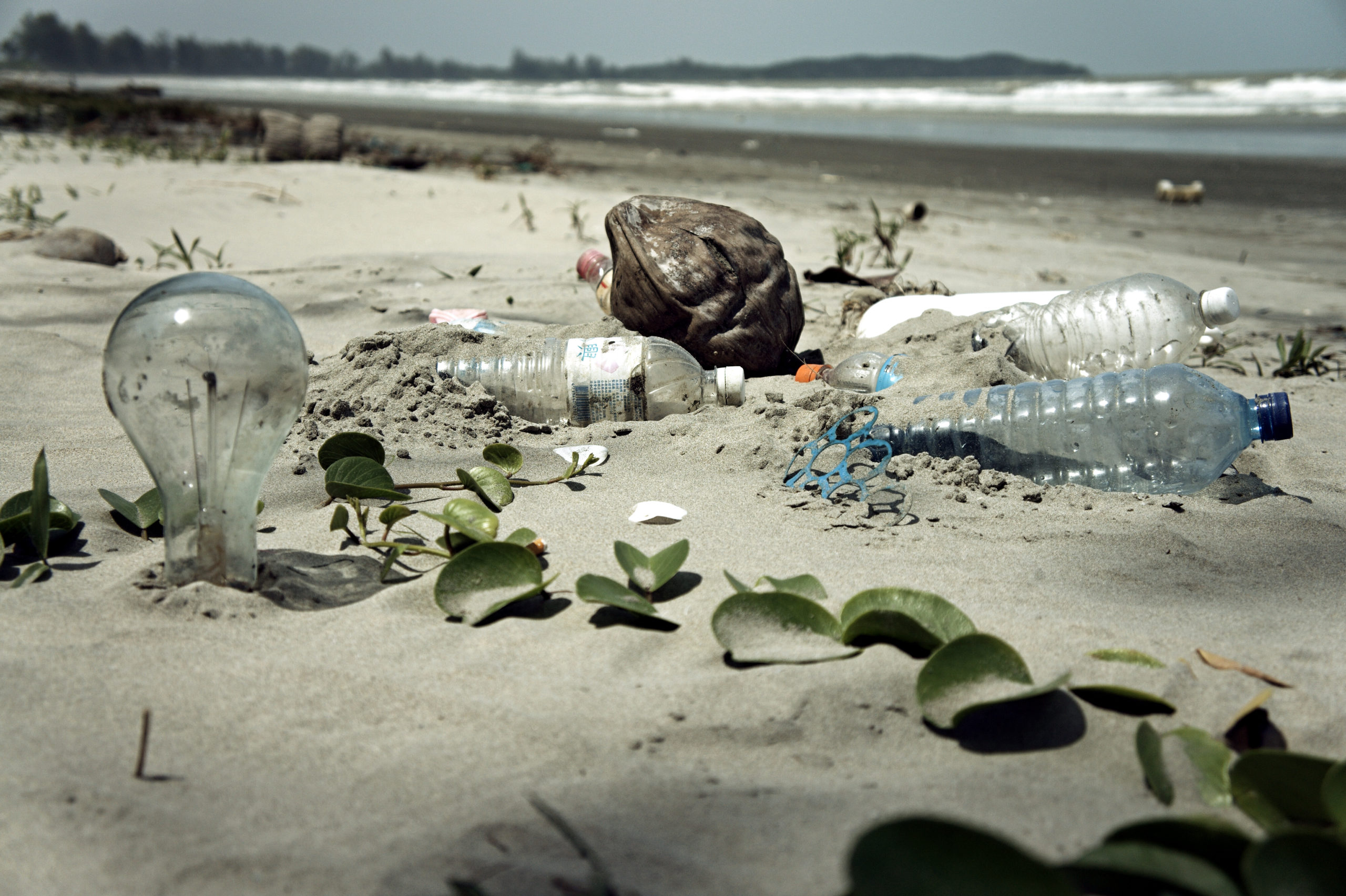 Image showing plastic pollution found on beach in Malaysia