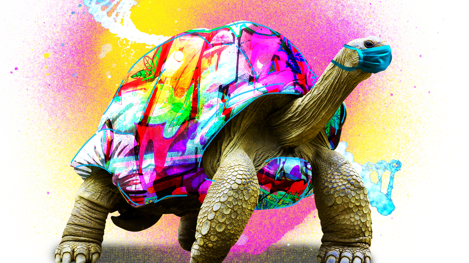 tortoise with wings wearing mask. Andrew Steele says anti-ageing drugs can prepare us for future pandemics
