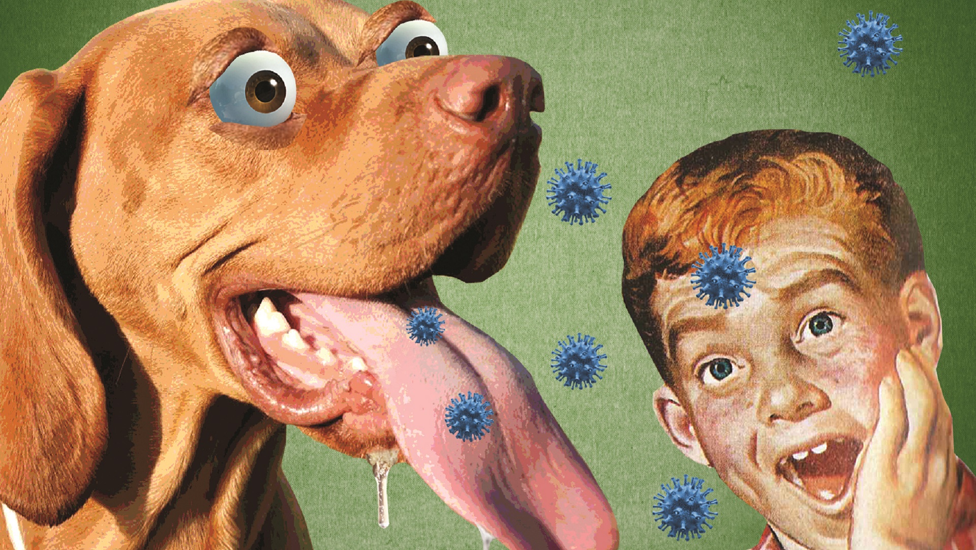 coronavirus dogs