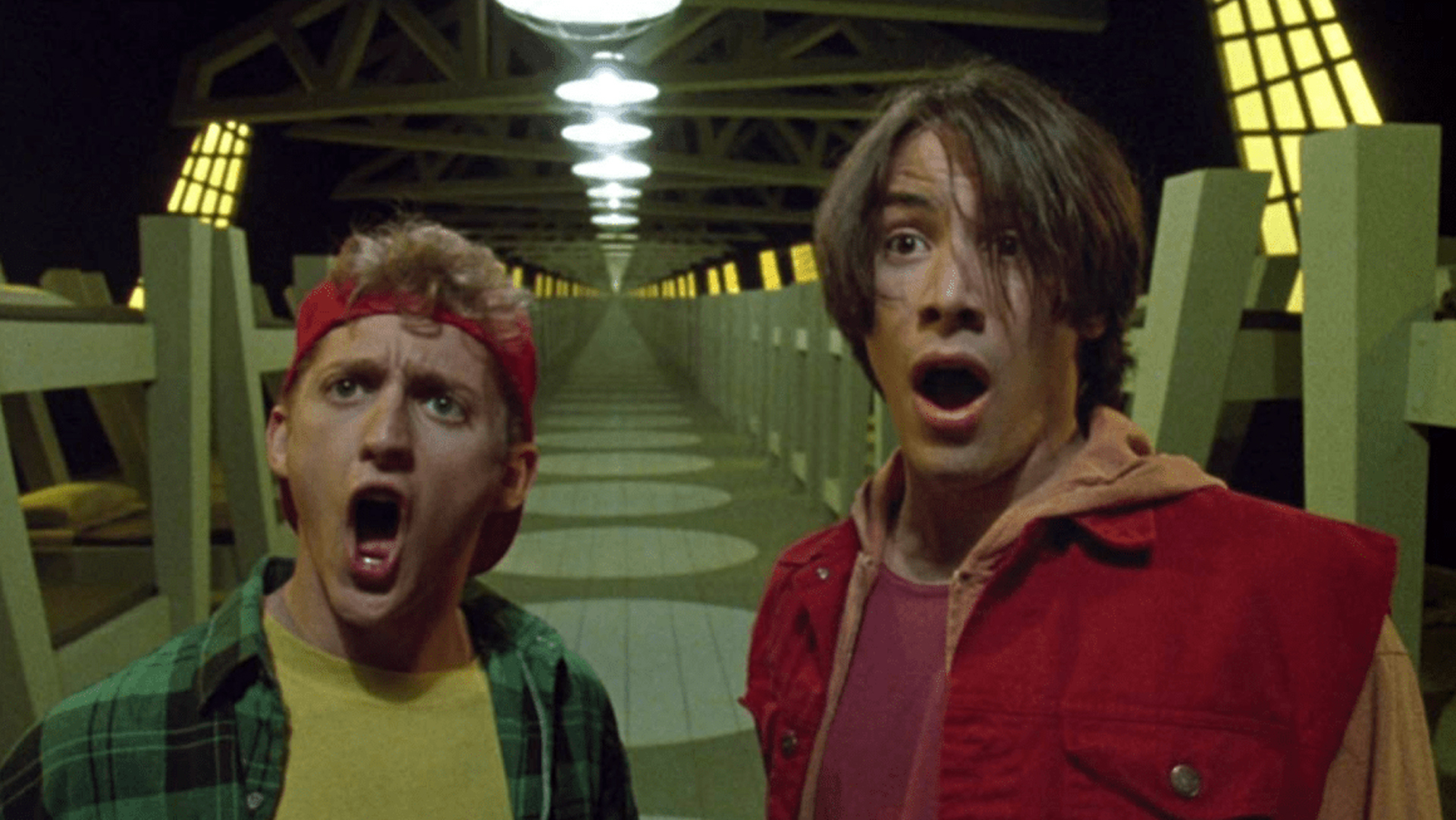 Bill & Ted on a Bogus Journey