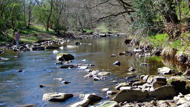 The River Derwent. Tory MPs voted down amendments to stop water companies dumping sewage in rivers and seas. Photo: © Malcolm Coils (cc-by-sa/2.0)