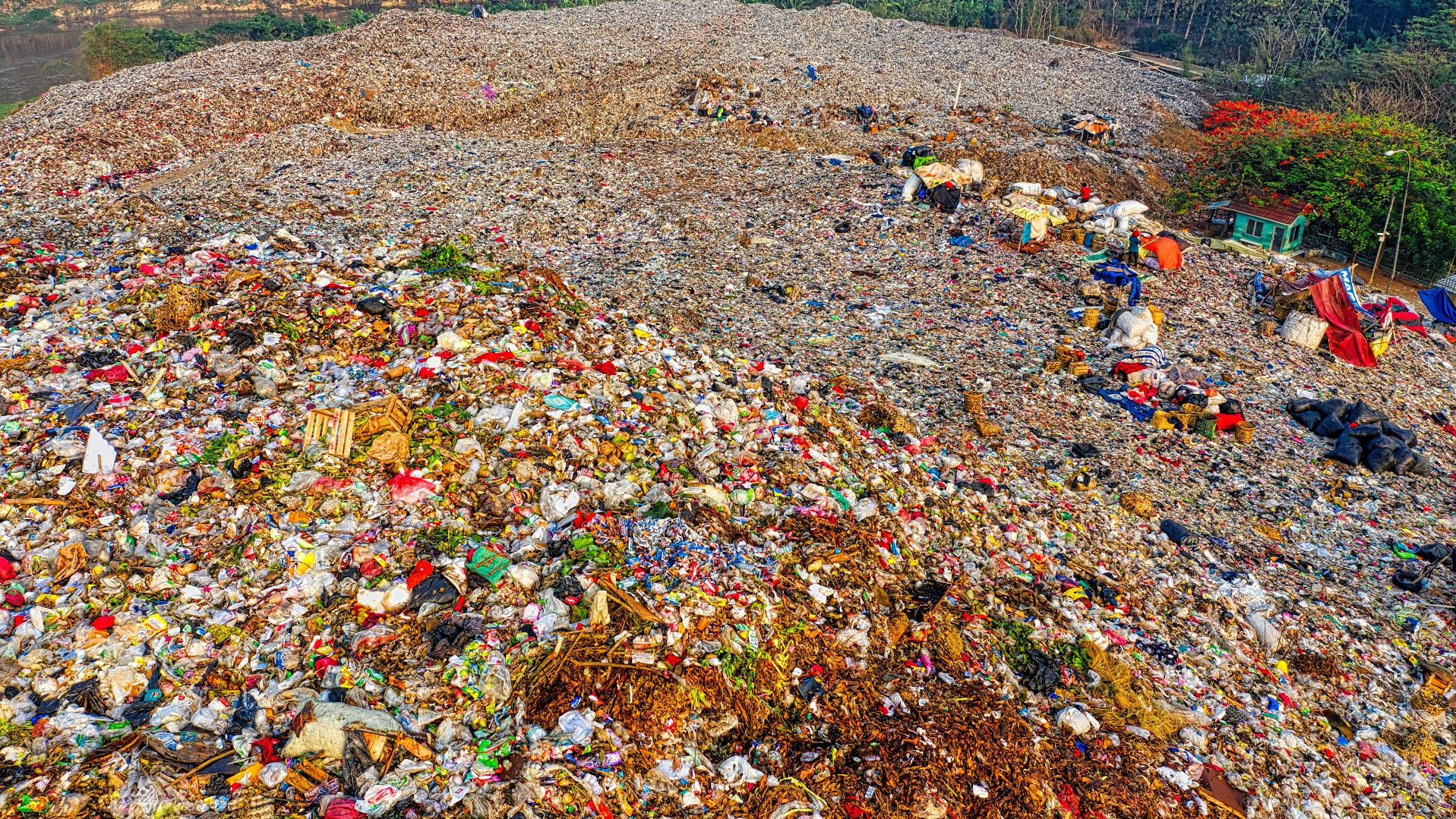 Food waste/ Image of landfill