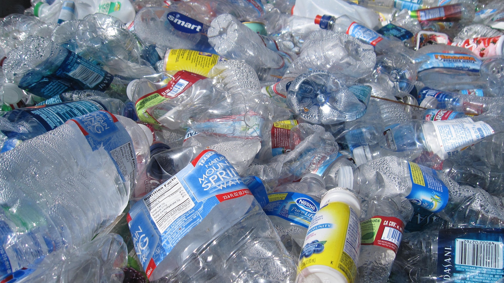Plastic bottle waste set for recycling in Delhi.