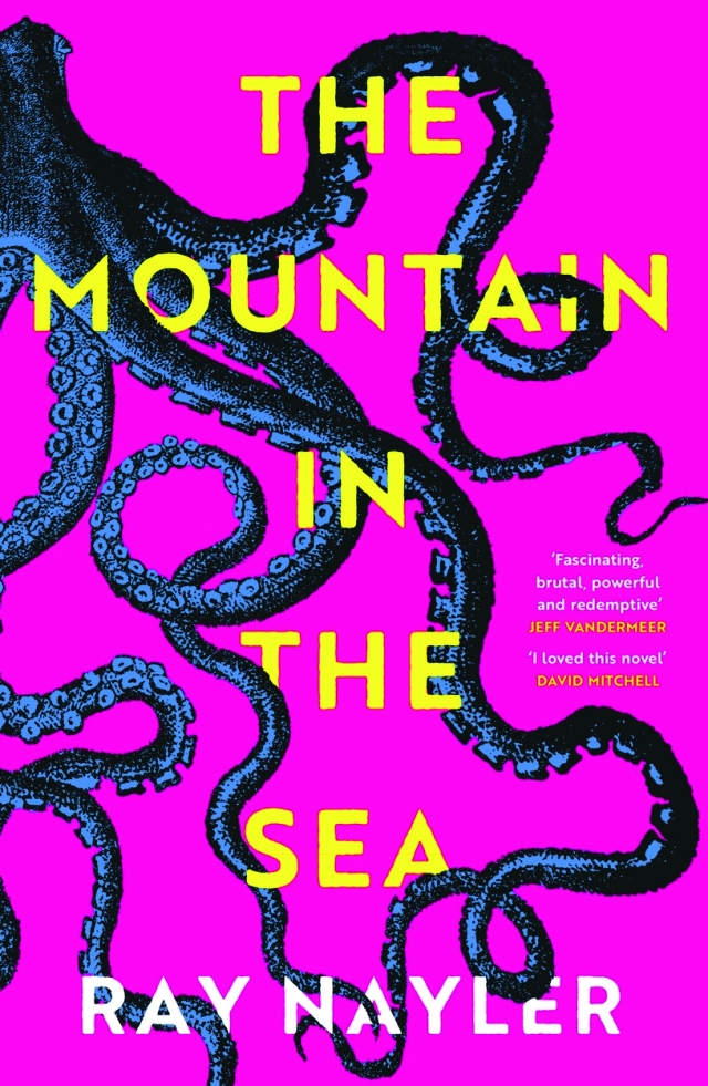 The Mountain in the Sea book cover