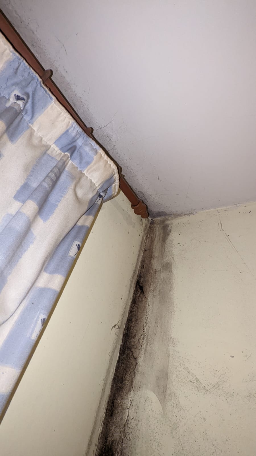 Kensal House damp and mould