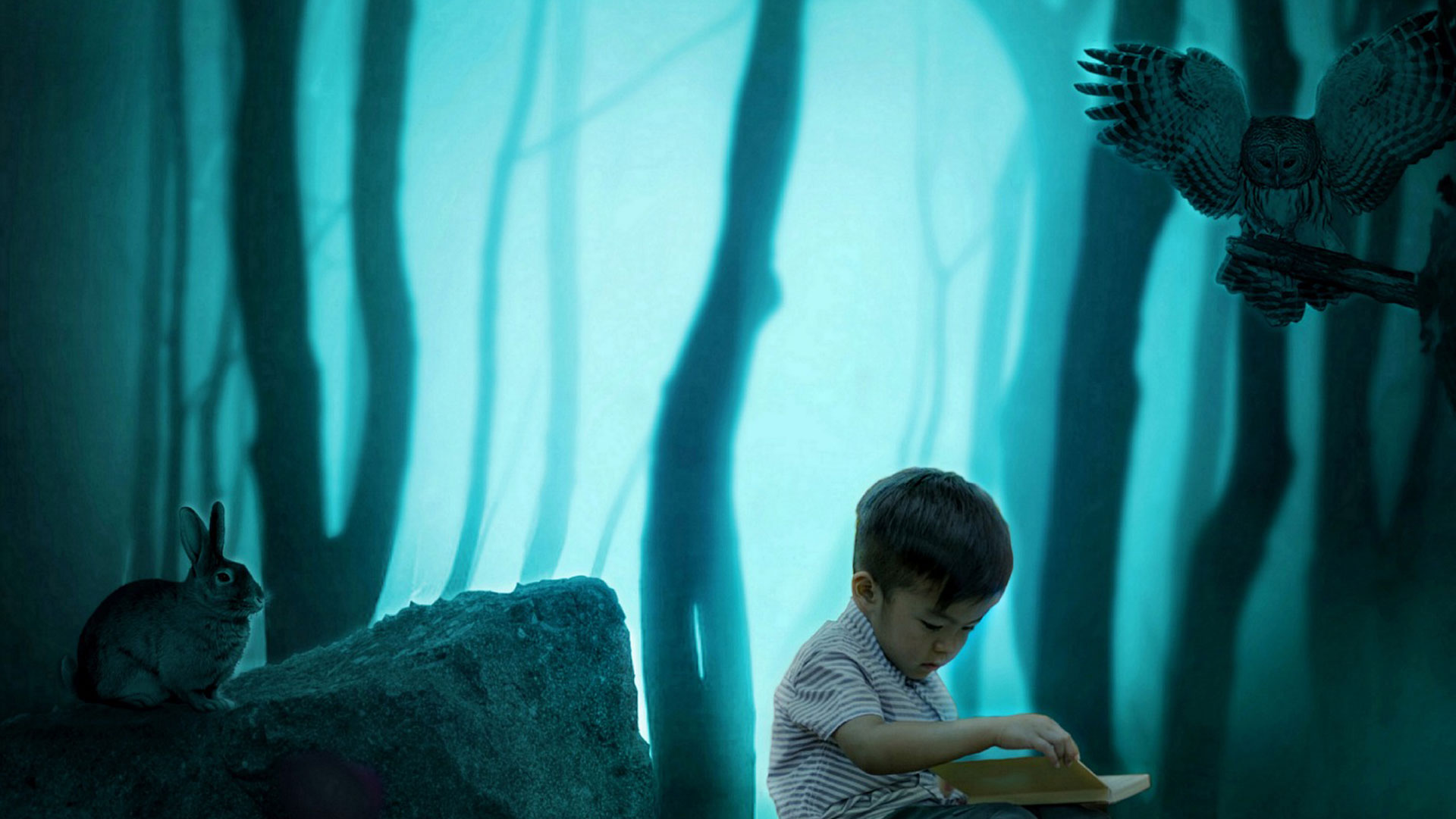 A boy reads book in a forest with a rabbit and an owl