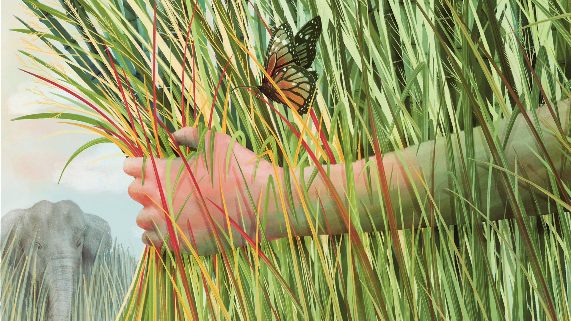A hand grasping some grasses