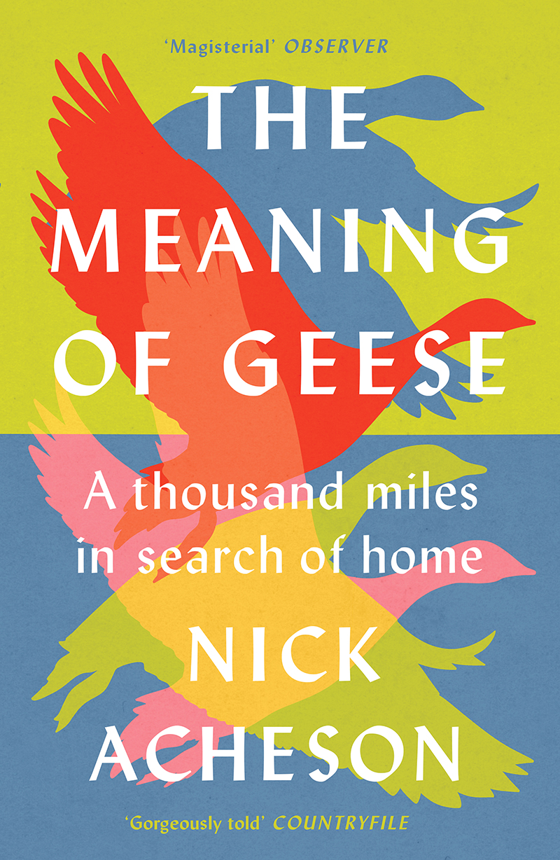 The Meaning of Geese book cover